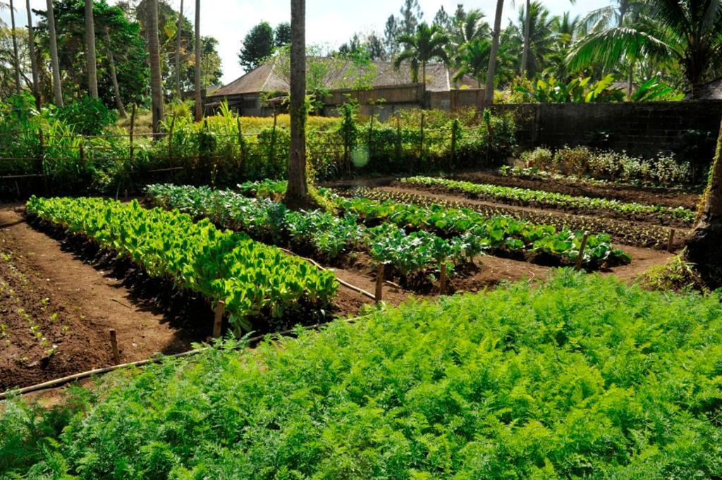 The Farm At San Benito Hotel Lipa City Exterior photo