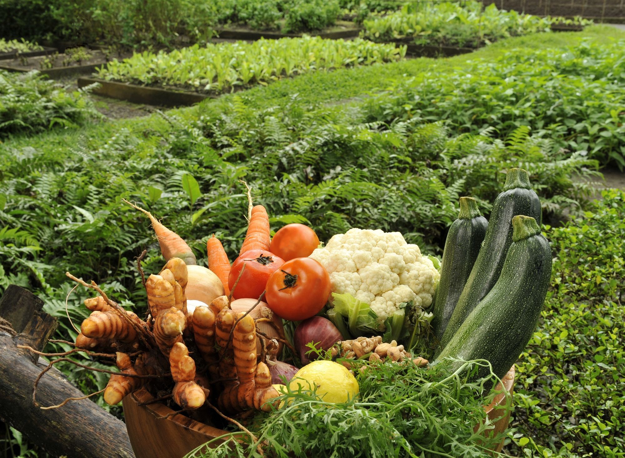 The Farm At San Benito Hotel Lipa City Exterior photo